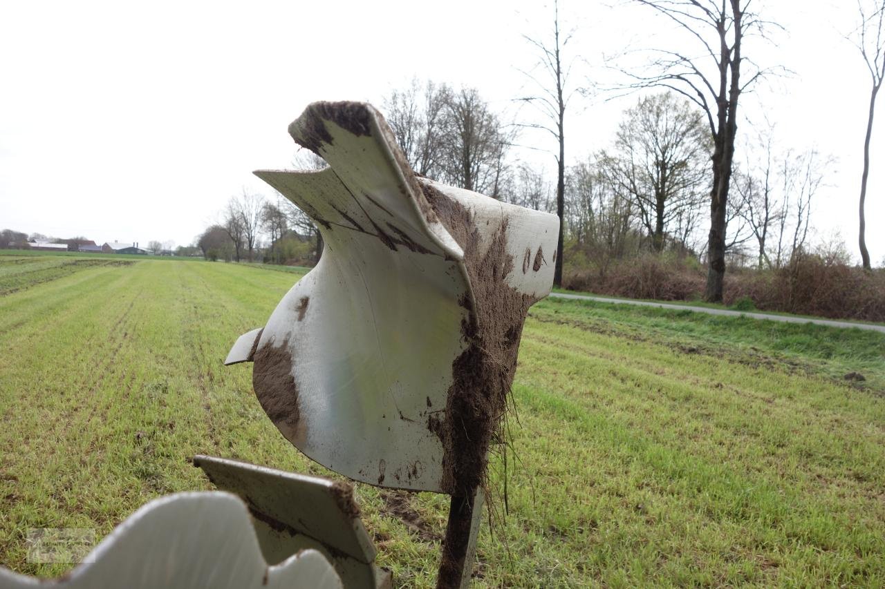 Pflug des Typs Amazone Cayron 200 5 Schar, Gebrauchtmaschine in Borken (Bild 10)