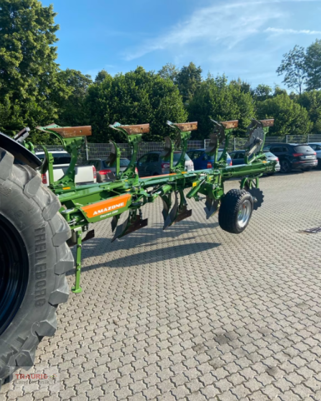 Pflug typu Amazone Cayron 200 V, Gebrauchtmaschine v Mainburg/Wambach (Obrázek 2)