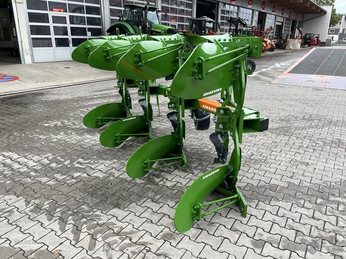 Pflug tip Amazone Cayros M 1020 SB 4-Schar, Neumaschine in Burgkirchen (Poză 4)