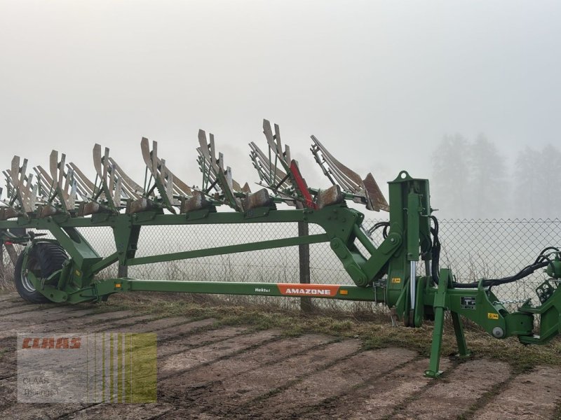 Pflug of the type Amazone Hektor, Gebrauchtmaschine in Sonnenstein