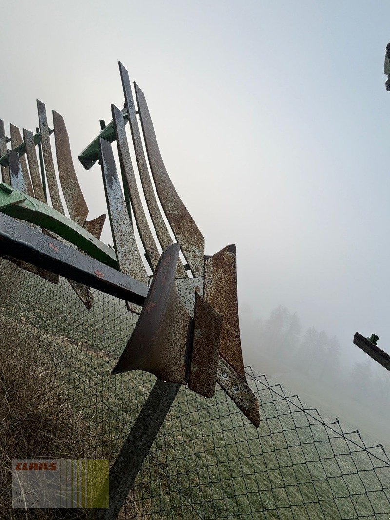 Pflug typu Amazone Hektor, Gebrauchtmaschine v Sonnenstein (Obrázek 4)
