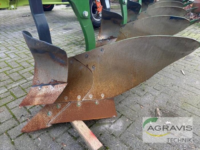 Pflug tipa Amazone TERES 300 V 5+0 100, Gebrauchtmaschine u Gronau (Slika 7)