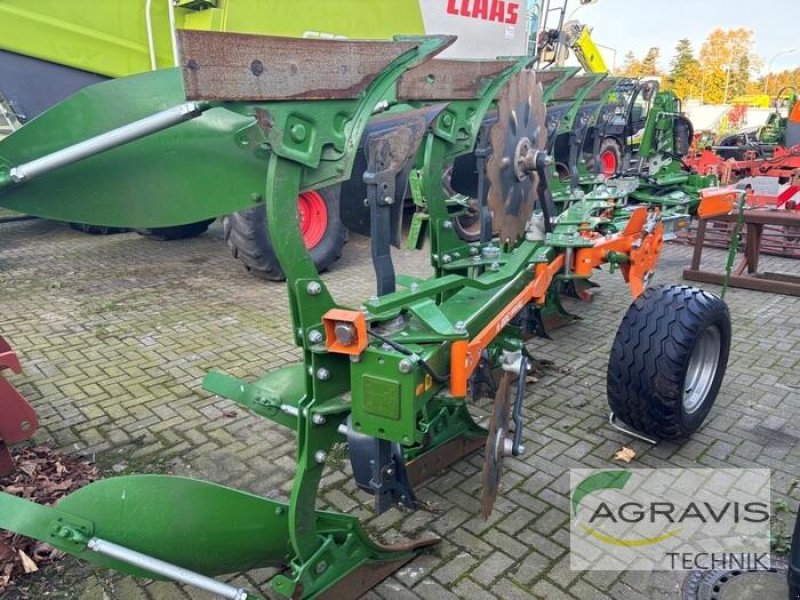 Pflug tipa Amazone TERES 300 V 5+0 100, Gebrauchtmaschine u Gronau (Slika 3)