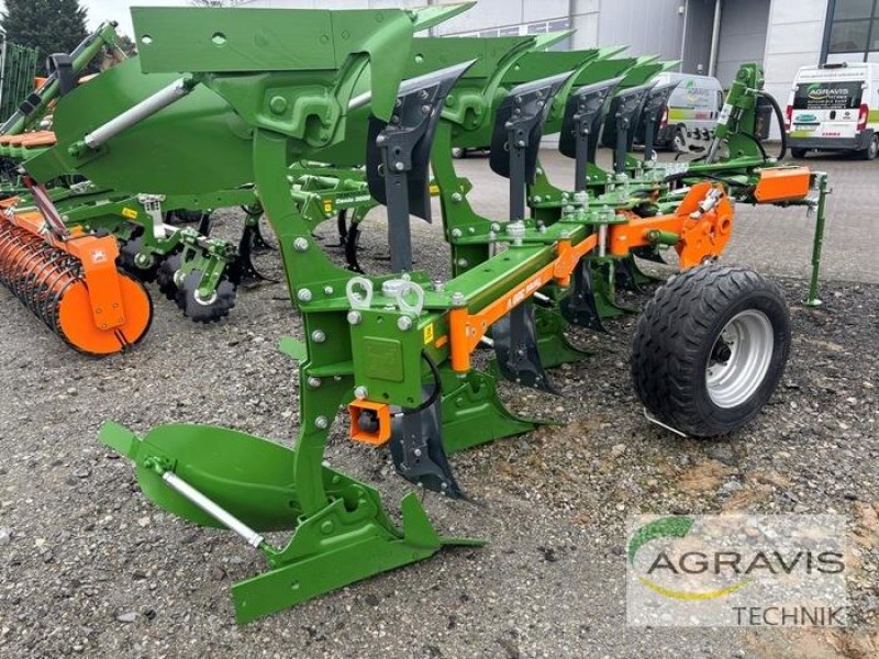 Pflug типа Amazone TERES 300 V 5+0 100, Neumaschine в Salzkotten (Фотография 3)