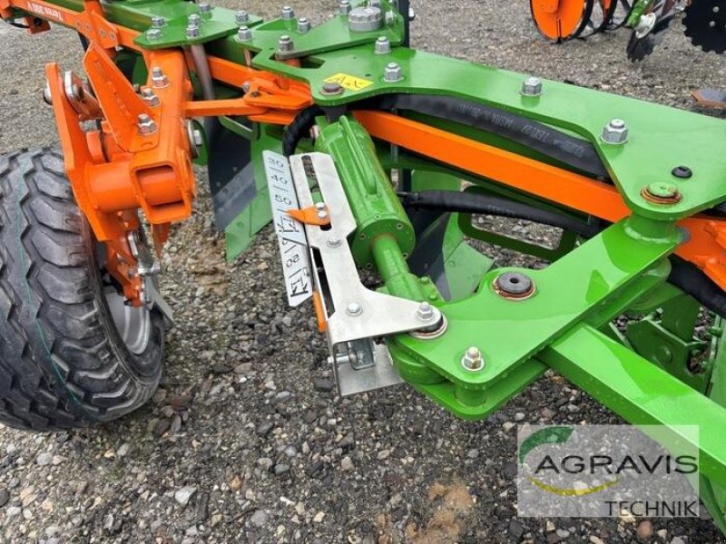 Pflug типа Amazone TERES 300 V 5+0 100, Neumaschine в Salzkotten (Фотография 8)