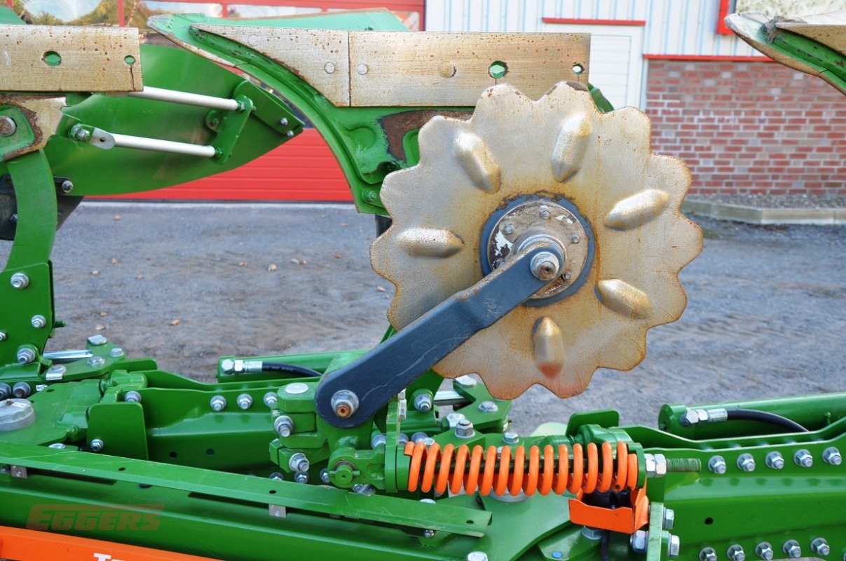 Pflug des Typs Amazone Teres 300 V 5+0 100, Neumaschine in Suhlendorf (Bild 15)
