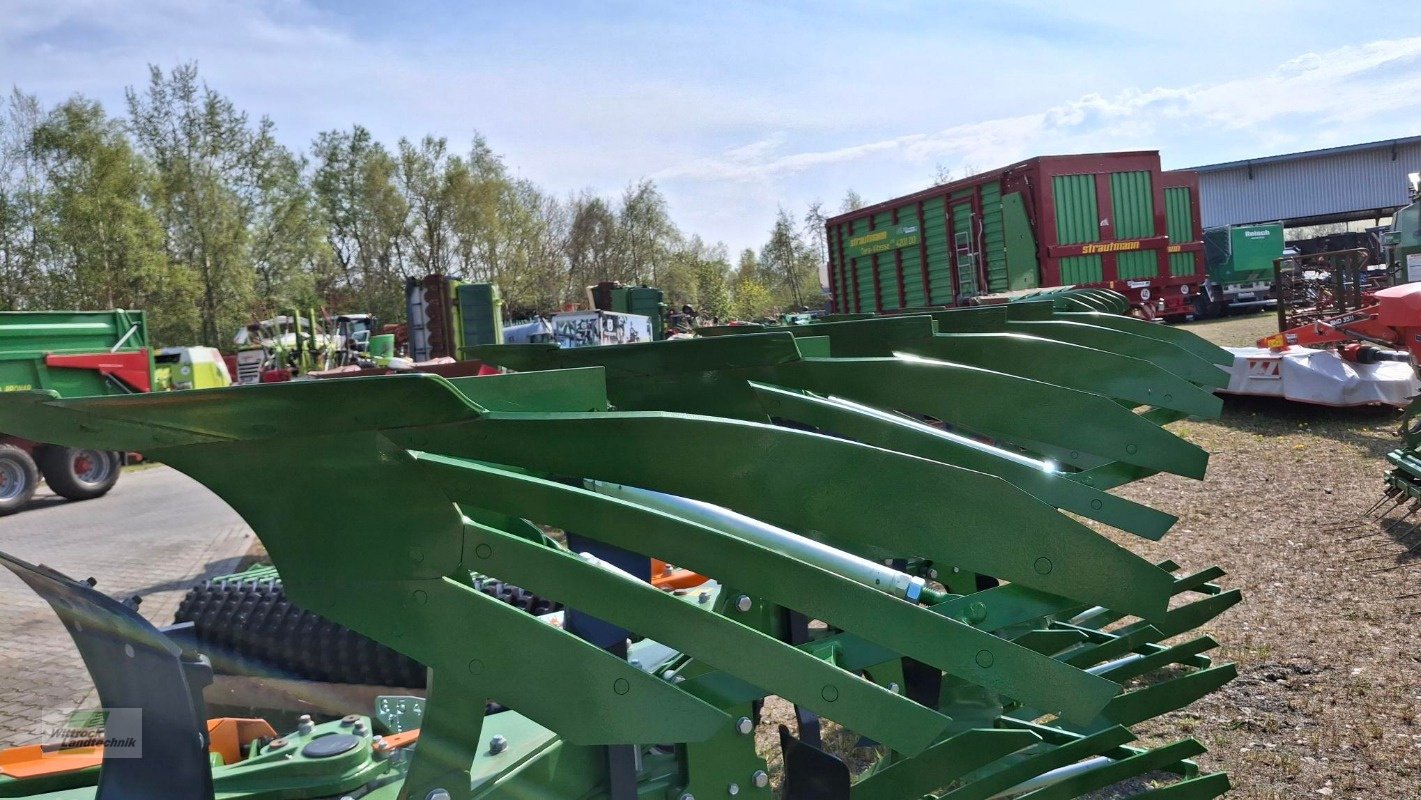 Pflug des Typs Amazone Teres 300 V 5+0, Neumaschine in Rhede / Brual (Bild 15)