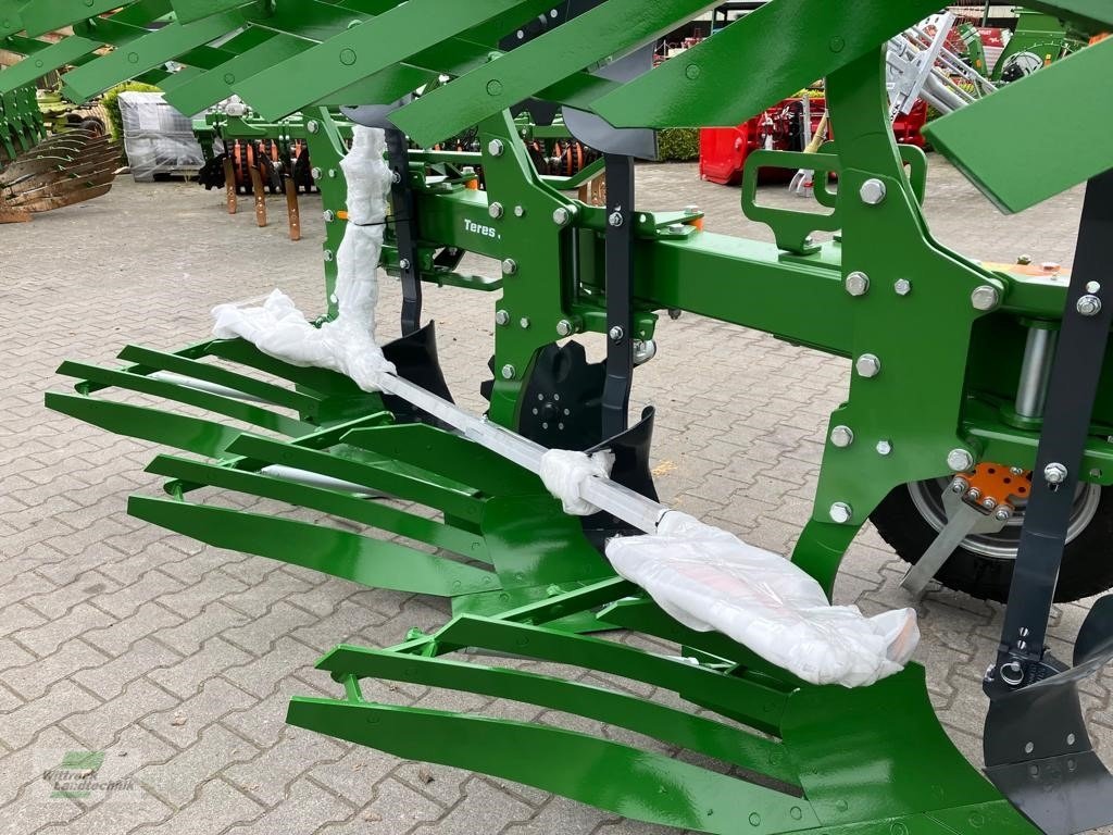 Pflug des Typs Amazone Teres 300 V 5+0, Neumaschine in Rhede / Brual (Bild 2)