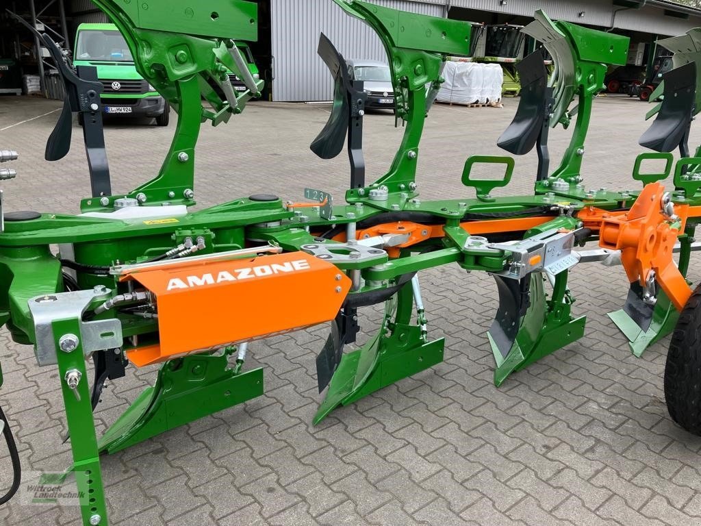 Pflug des Typs Amazone Teres 300 V 5+0, Neumaschine in Rhede / Brual (Bild 7)