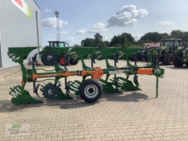 Pflug typu Amazone Teres 300 V 5+0, Neumaschine v Georgsheil (Obrázek 3)
