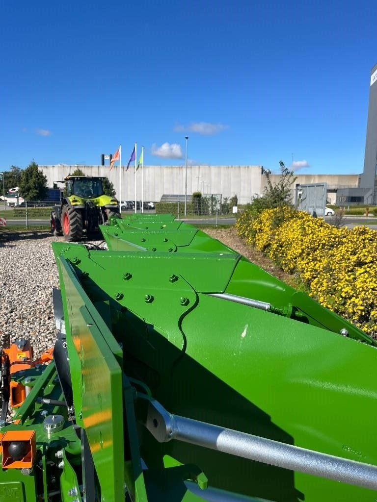 Pflug типа Amazone TERES, Gebrauchtmaschine в Ringe (Фотография 16)