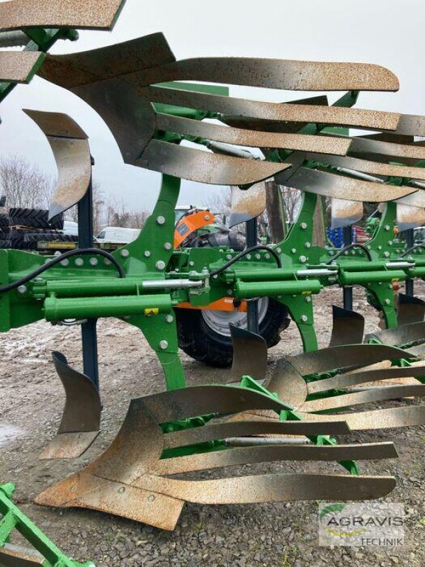 Pflug Türe ait Amazone TYROK 400 6+0 V, Vorführmaschine içinde Schladen (resim 13)