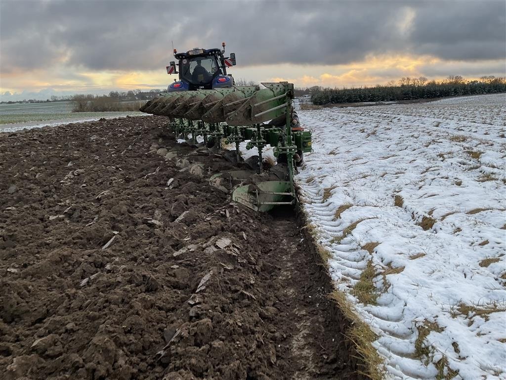 Pflug typu Amazone Tyrok 400, Gebrauchtmaschine w Maribo (Zdjęcie 7)