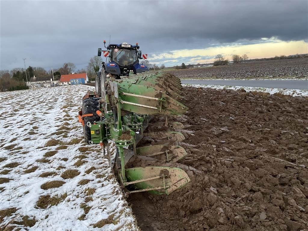 Pflug typu Amazone Tyrok 400, Gebrauchtmaschine v Maribo (Obrázek 9)