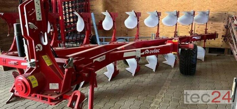 Pflug Türe ait Einböck Ovlac Mini NF-7+2, Gebrauchtmaschine içinde Rauenberg (resim 3)