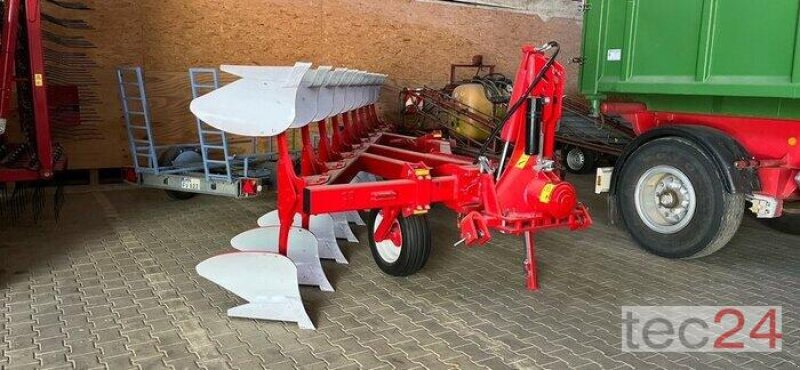 Pflug Türe ait Einböck Ovlac Mini NF-7+2, Gebrauchtmaschine içinde Rauenberg (resim 4)