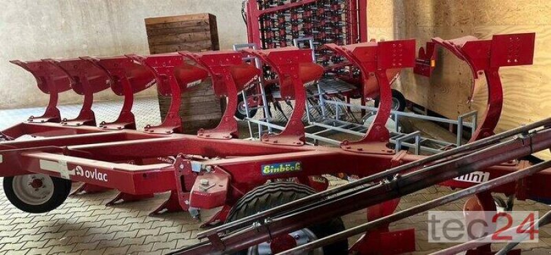 Pflug Türe ait Einböck Ovlac Mini NF-7+2, Gebrauchtmaschine içinde Rauenberg (resim 7)