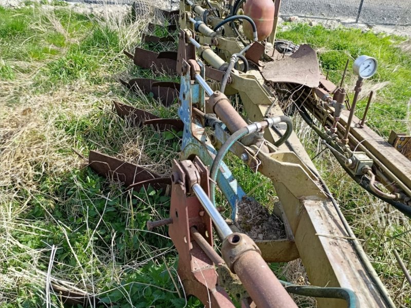 Pflug του τύπου Fortschritt B 550, Gebrauchtmaschine σε Tanna (Φωτογραφία 1)
