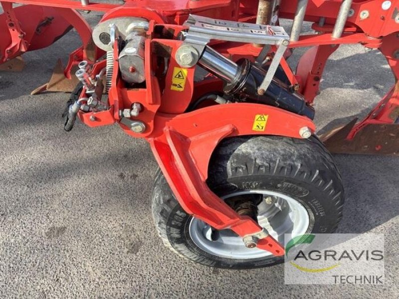 Pflug от тип Gaspardo UNICO XL, Gebrauchtmaschine в Meppen (Снимка 11)