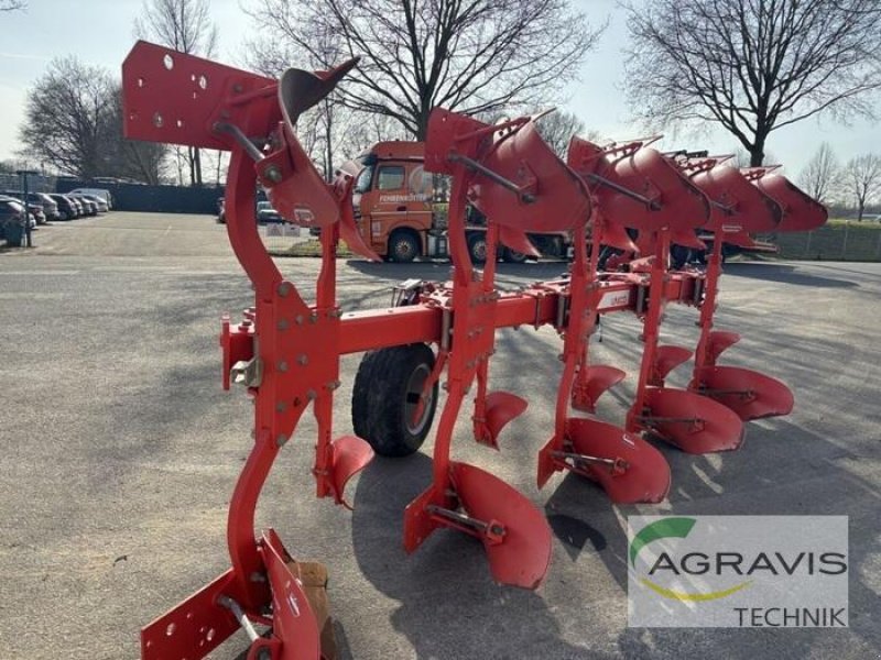 Pflug от тип Gaspardo UNICO XL, Gebrauchtmaschine в Meppen (Снимка 3)