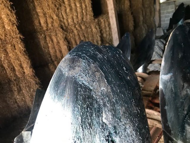 Pflug типа Gregoire-Besson SPERB9, Gebrauchtmaschine в les hayons (Фотография 5)