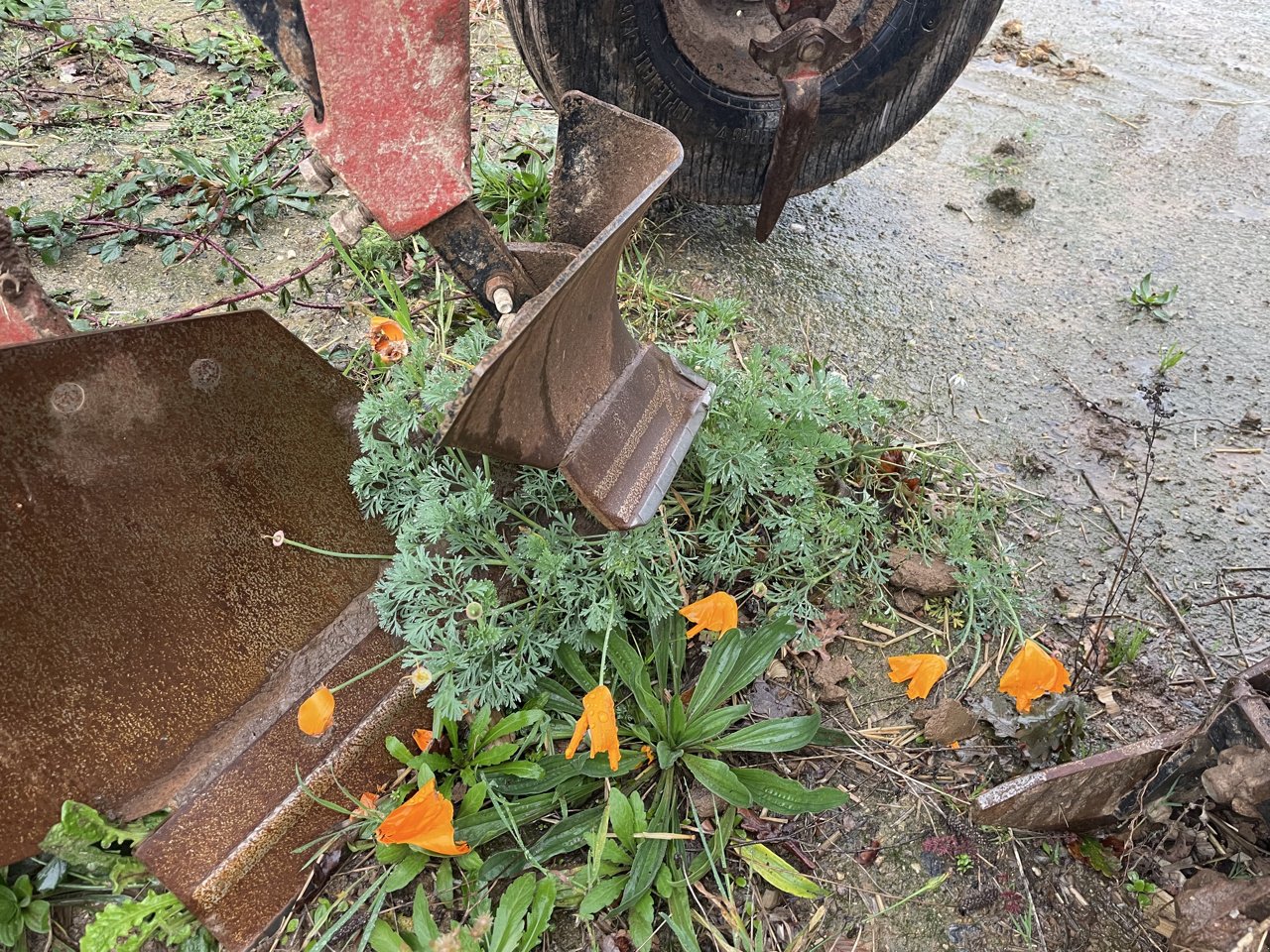 Pflug of the type Gregoire RY47, Gebrauchtmaschine in MALESTROIT (Picture 5)