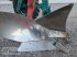 Pflug a típus Kverneland LB100-300 5Schar 28er Körper, Gebrauchtmaschine ekkor: Lanzenkirchen (Kép 10)