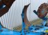 Pflug tipa Lemken JUWEL 8 M T 5+1 L 100, Gebrauchtmaschine u Wildeshausen (Slika 18)