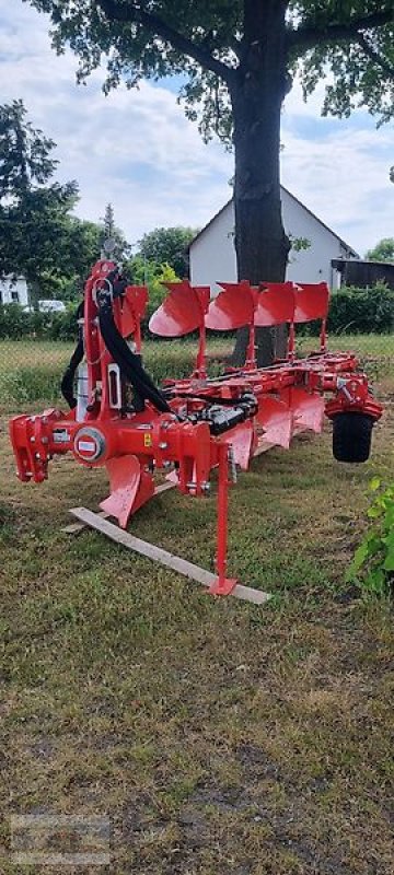 Pflug des Typs Maschio Unico L NSH, Neumaschine in Flessau (Bild 2)