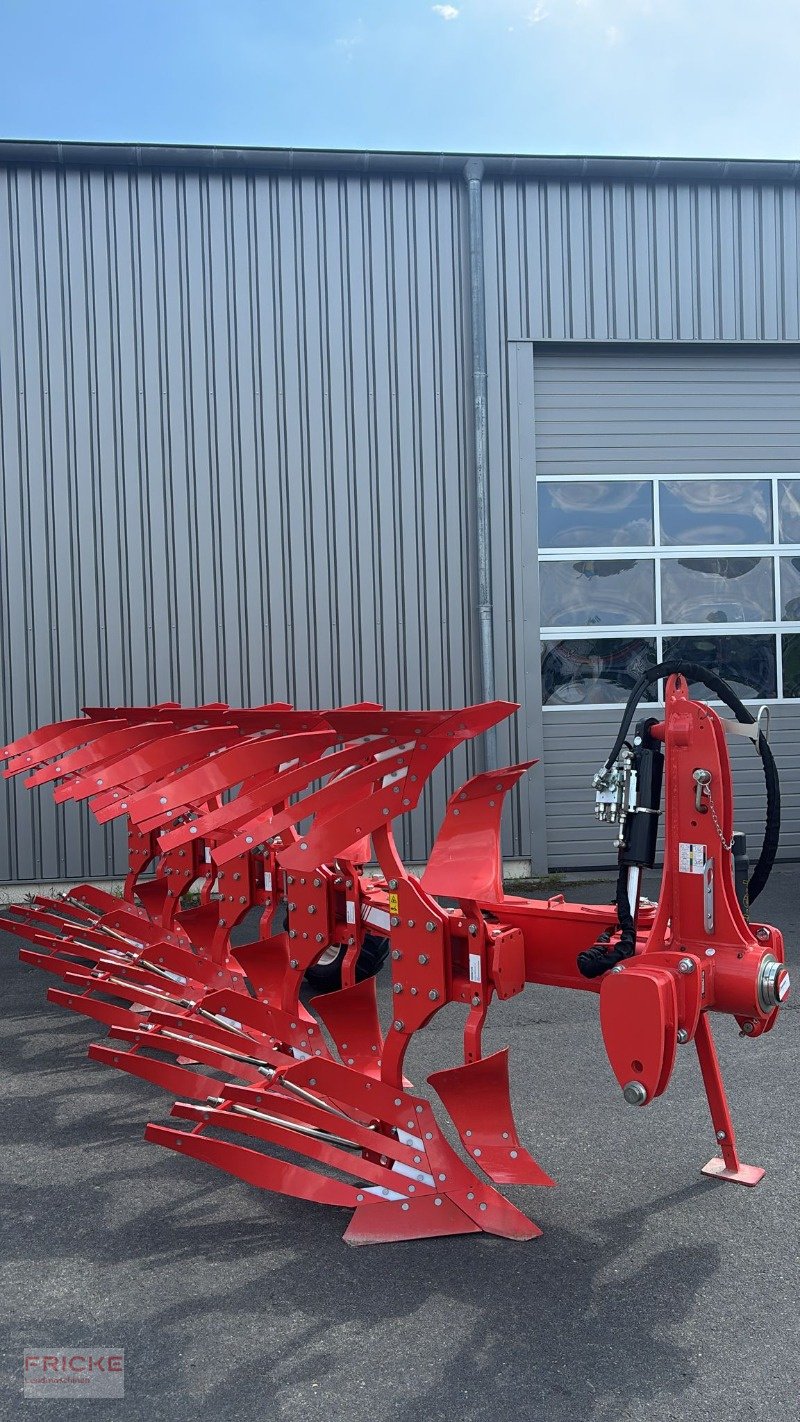 Pflug des Typs Maschio Unico M Passo 4+1, Neumaschine in Bockel - Gyhum (Bild 4)