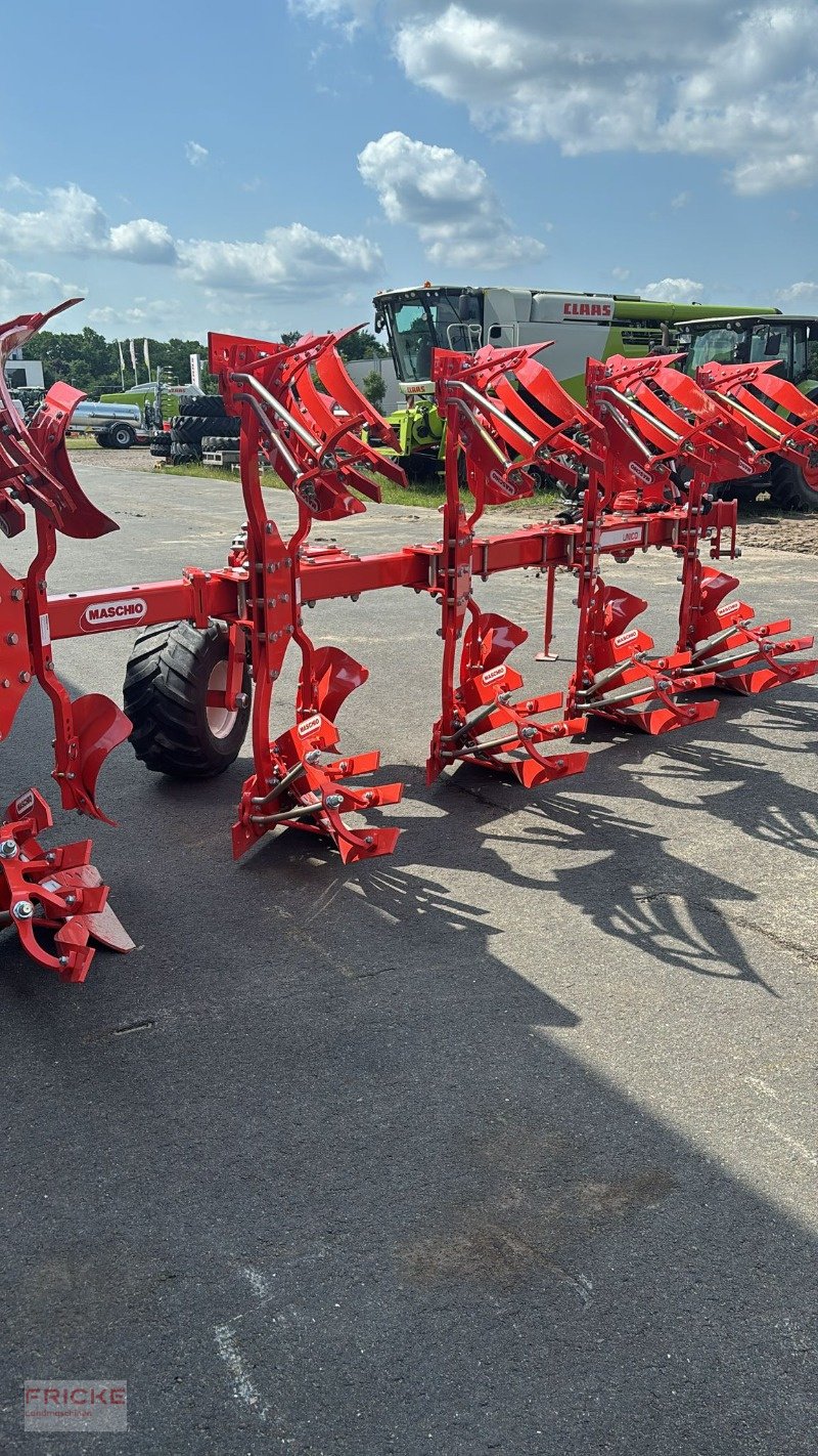 Pflug des Typs Maschio Unico M Passo 4+1, Neumaschine in Bockel - Gyhum (Bild 6)