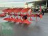 Pflug tip Maschio UNICO M VARIO 4+ NON-STOP, Gebrauchtmaschine in Bamberg (Poză 3)
