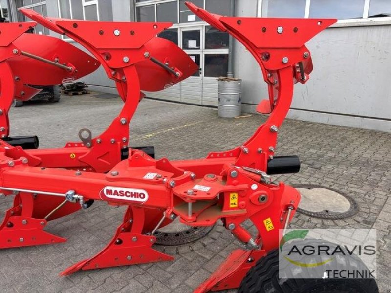 Pflug типа Maschio UNICO S 3+1, Gebrauchtmaschine в Salzkotten (Фотография 13)