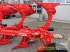 Pflug типа Maschio UNICO S 3+1, Gebrauchtmaschine в Salzkotten (Фотография 13)