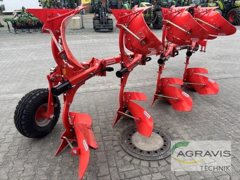 Pflug типа Maschio UNICO S 3+1, Gebrauchtmaschine в Salzkotten (Фотография 3)
