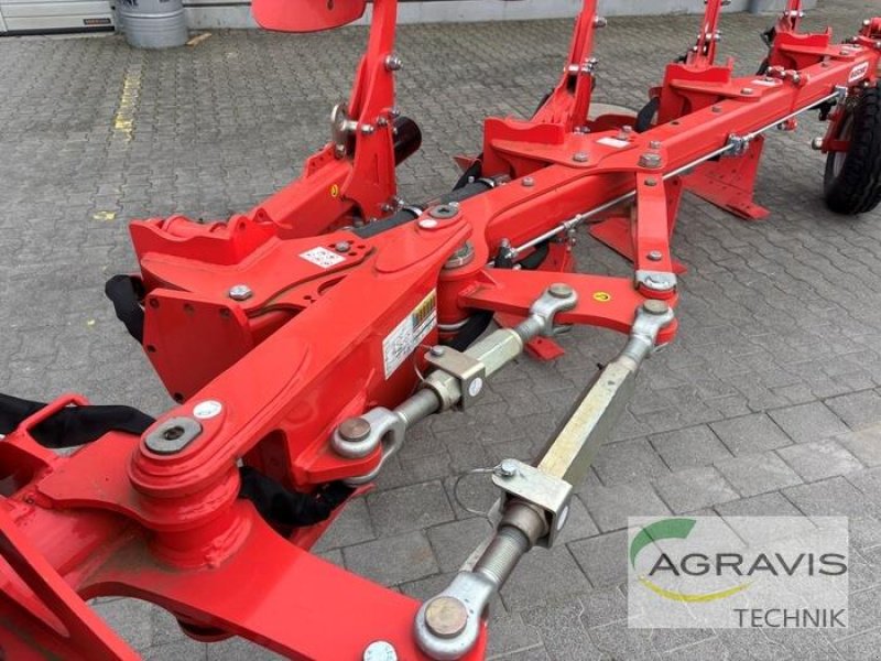 Pflug типа Maschio UNICO S 3+1, Gebrauchtmaschine в Salzkotten (Фотография 9)