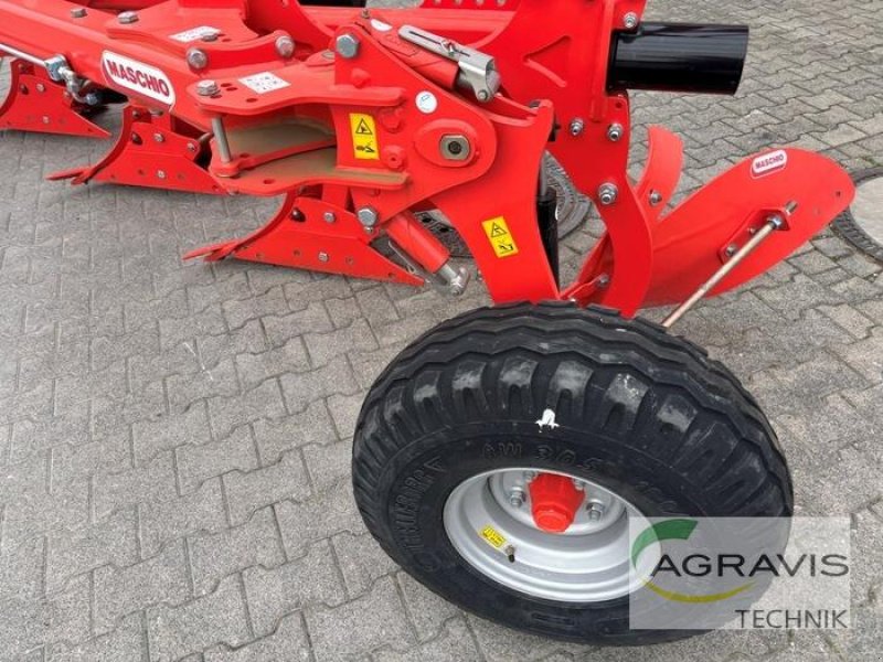 Pflug типа Maschio UNICO S 3+1, Gebrauchtmaschine в Salzkotten (Фотография 12)