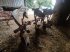 Pflug tipa Massey Ferguson Qr65, Gebrauchtmaschine u Le Horps (Slika 5)