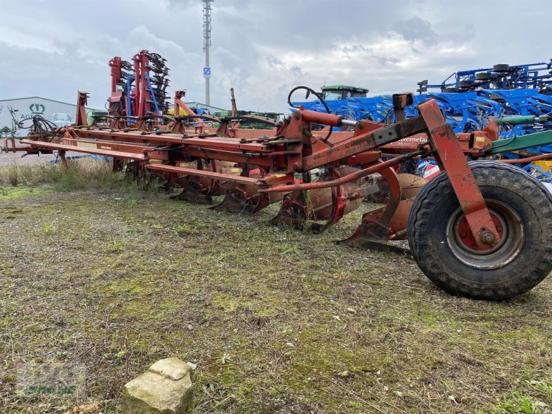 Pflug Türe ait Niemeyer 5-220 Stein, Gebrauchtmaschine içinde Spelle (resim 3)
