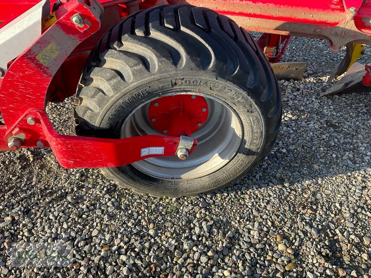 Pflug des Typs Pöttinger 6.50, Gebrauchtmaschine in Korneuburg (Bild 2)