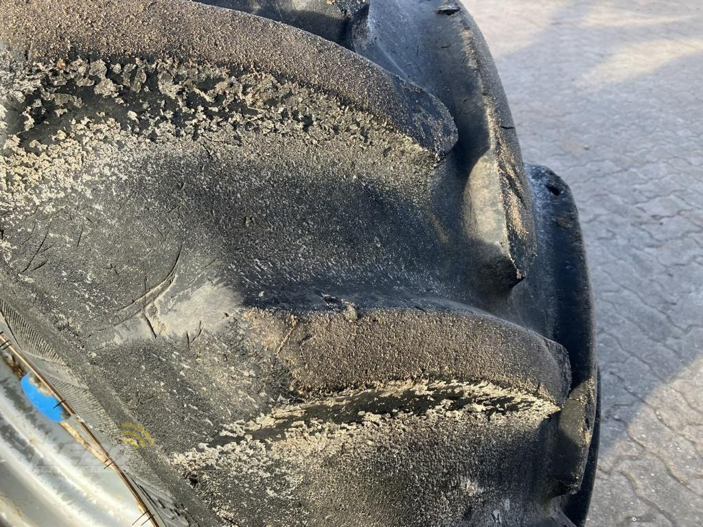 Pflug Türe ait Rabe Kormoran PF VHA 180 8F, Gebrauchtmaschine içinde Albersdorf (resim 11)