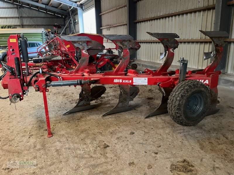 Pflug of the type Unia Ibis 4 Schar, Gebrauchtmaschine in Lensahn (Picture 3)