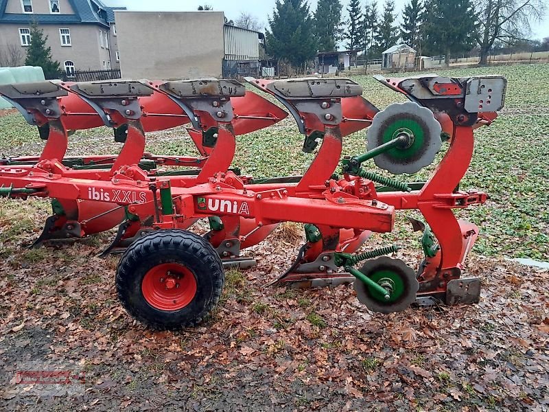 Pflug Türe ait Unia Ibis XXLS 4+1 Pflug Gebraucht Blattfedergesichert 2,5m, Gebrauchtmaschine içinde Ostheim/Rhön (resim 2)