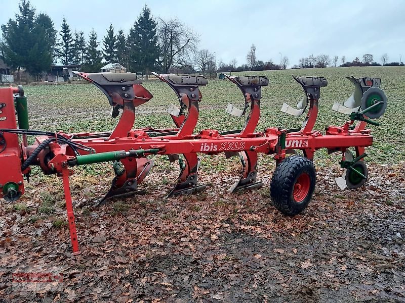 Pflug Türe ait Unia Ibis XXLS 4+1 Pflug Gebraucht Blattfedergesichert 2,5m, Gebrauchtmaschine içinde Ostheim/Rhön