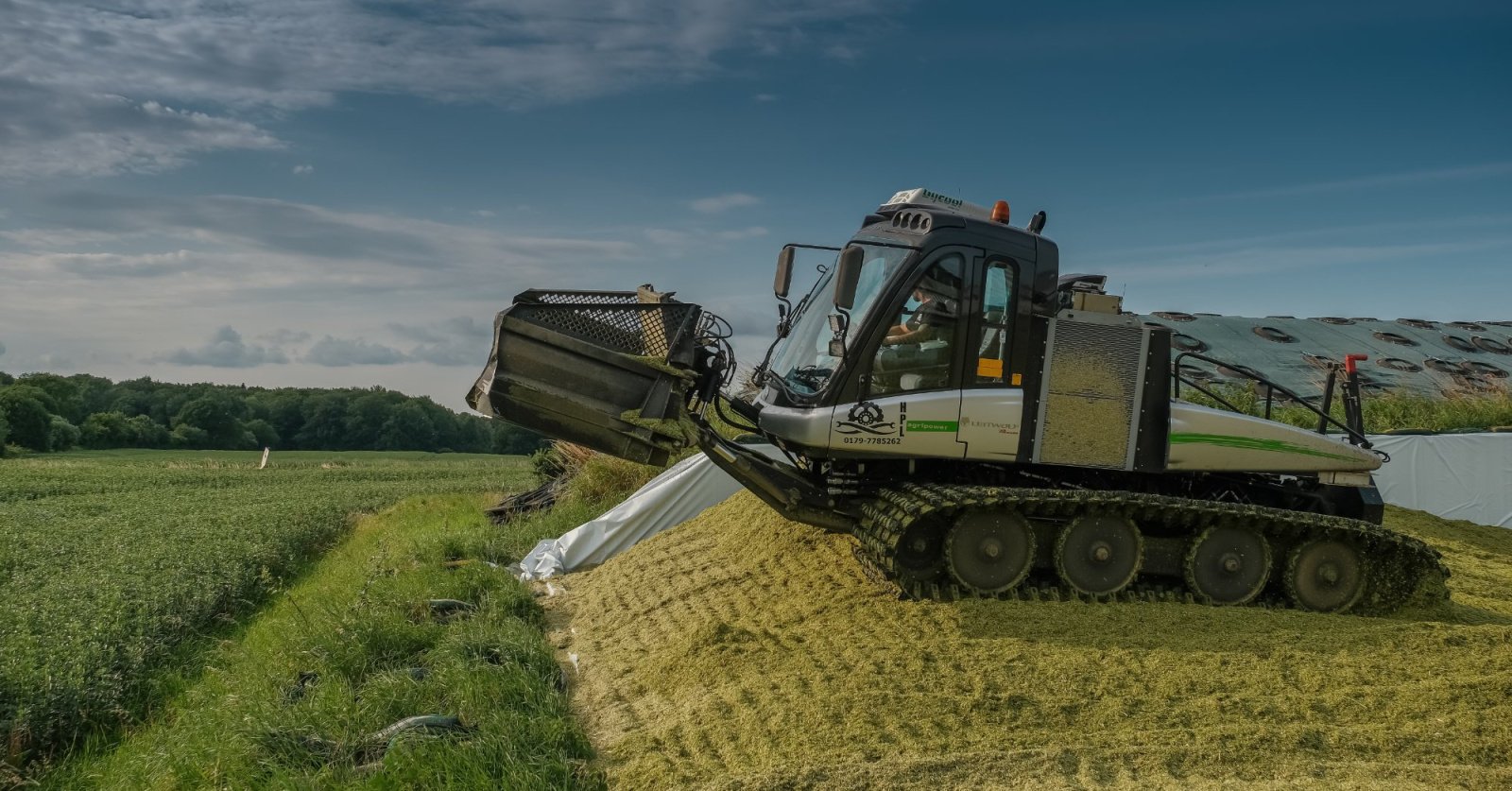 Pistenbully типа Prinoth Leitwolf, Gebrauchtmaschine в Großsolt (Фотография 3)