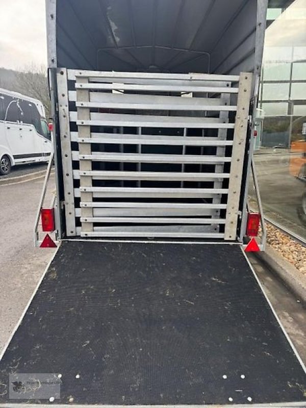 PKW-Anhänger des Typs ALF Pferdeanhänger Viehanhänger 2t. Holz/Plane, Gebrauchtmaschine in Gevelsberg (Bild 3)