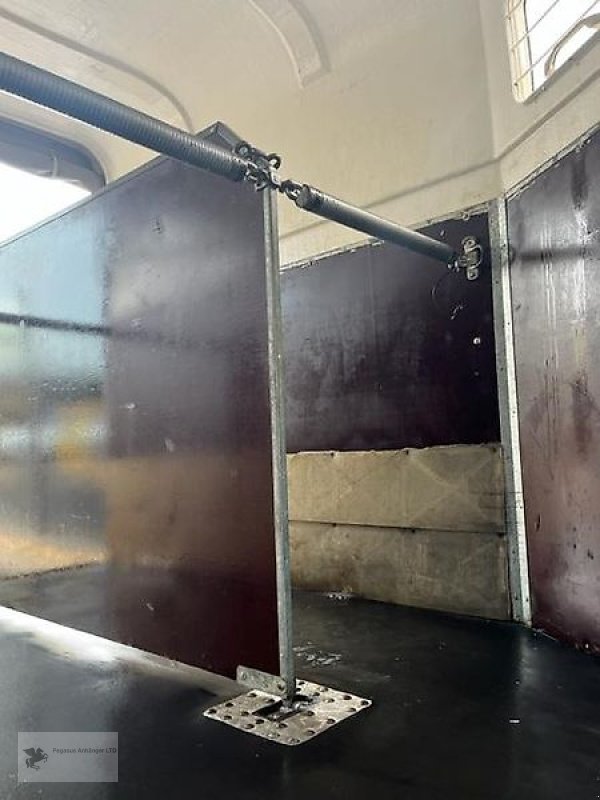 PKW-Anhänger des Typs Böckmann 2-Pferdeanhänger Viehtransporter PKW Anhänger, Gebrauchtmaschine in Gevelsberg (Bild 7)