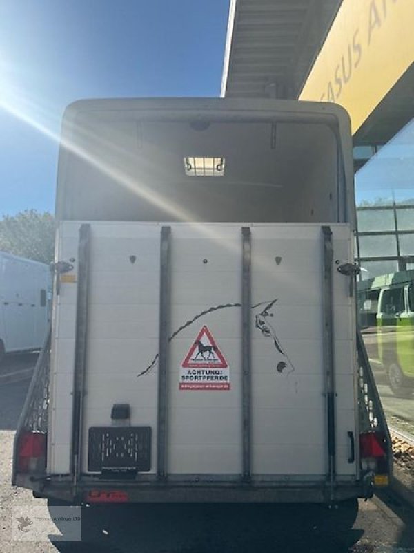 PKW-Anhänger του τύπου Böckmann Big Champion 2 Pferdeanhänger 2,4t, ALU DS-Klappe, Gebrauchtmaschine σε Gevelsberg (Φωτογραφία 3)