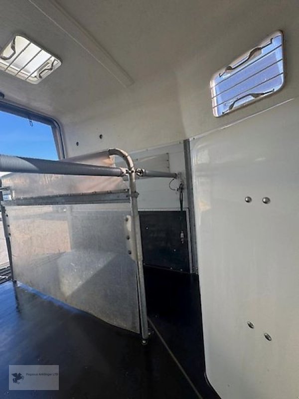 PKW-Anhänger του τύπου Böckmann Big Champion 2 Pferdeanhänger 2,4t, ALU DS-Klappe, Gebrauchtmaschine σε Gevelsberg (Φωτογραφία 6)