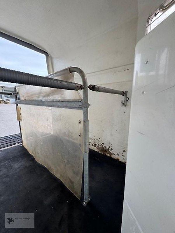 PKW-Anhänger des Typs Böckmann Classic 2-Pferdeanhänger Vollpoly Sattelkammer 2t., Gebrauchtmaschine in Gevelsberg (Bild 6)